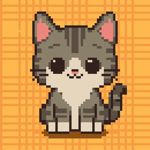 Chaton gris