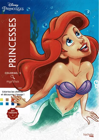 Page de couverture du livre de Coloriage Mystère Princesses