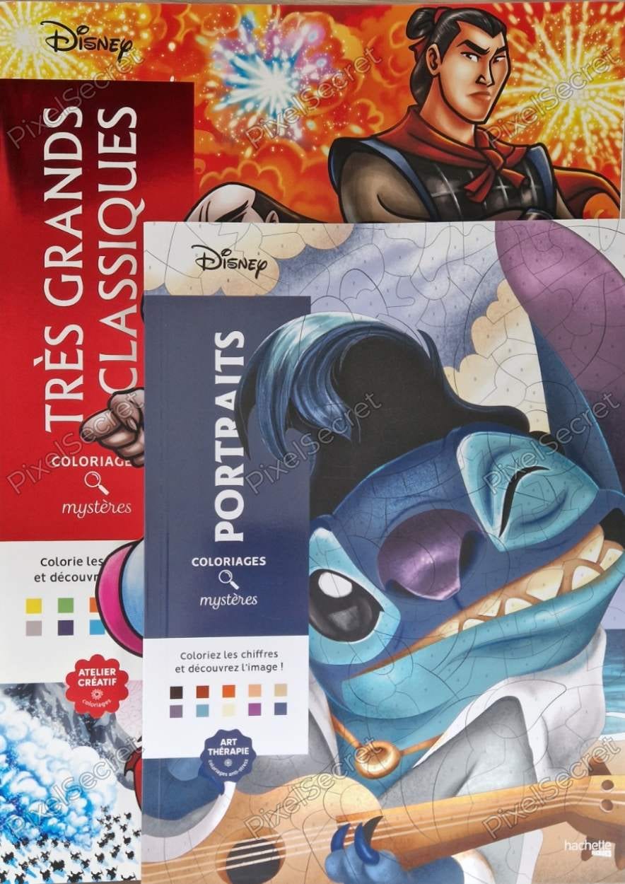 Comparatif de taille du livre Disney Très Grands Classiques avec un format A4