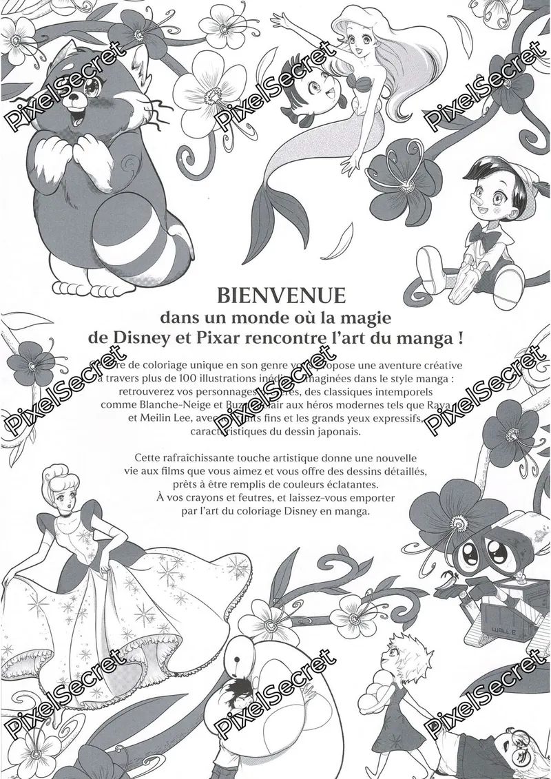 Présentation du livre Coloriage Disney Manga Hachette Heroes