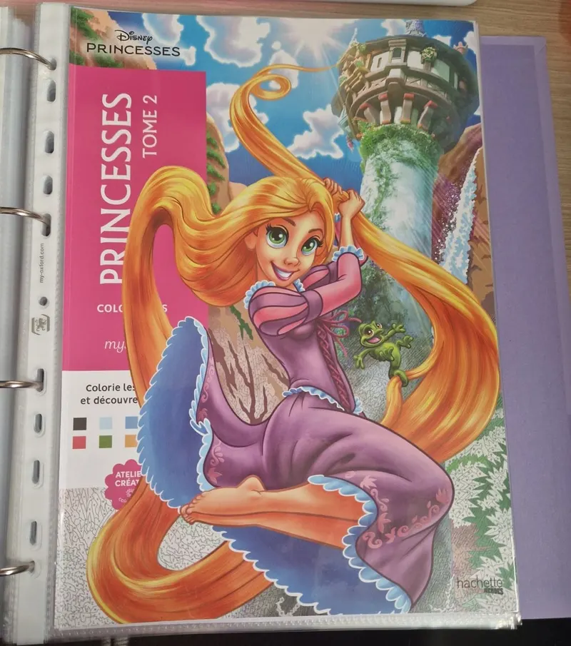 Classeur à anneaux contenant les pages découpées du tome 2 Princesses, avec la couverture conservée