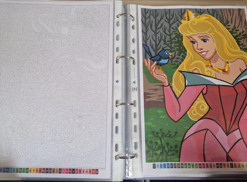 Deux pages de coloriage découpées ouvertes dans le classeur, anneaux visibles au centre